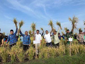 Pj. Gubernur Jabar Dorong Peningkatan Produksi Padi Indramayu