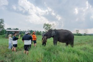 LindungiHutan dan Taman Nasional Way Kambas Tingkatkan Konservasi dan Pemberdayaan Masyarakat