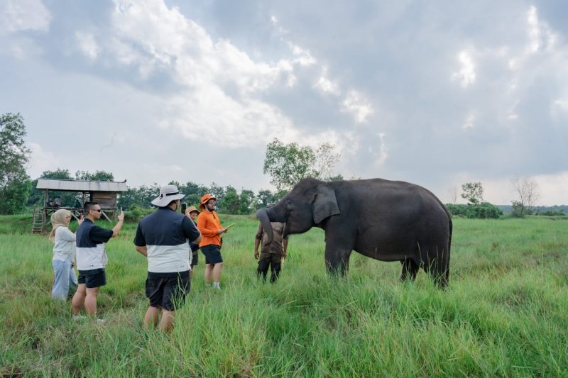 LindungiHutan dan Taman Nasional Way Kambas Tingkatkan Konservasi dan Pemberdayaan Masyarakat