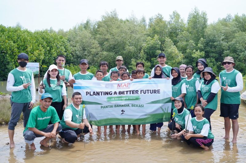 PT Mitra Adiperkasa dan PT MAP Aktif Adiperkasa bersama LindungiHutan Tanam 1.500 Mangrove di Pantai Bahagia Bekasi