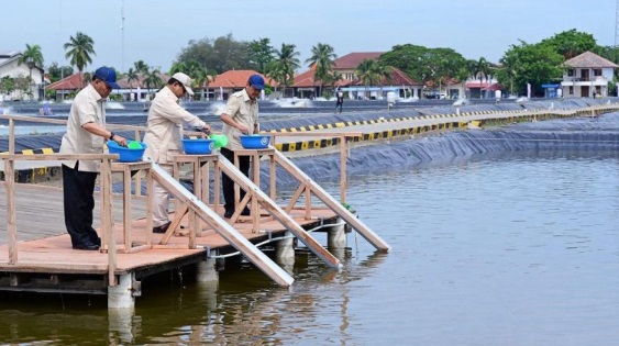 Presiden Prabowo Tinjau Tambak Ikan Nila Terbesar di Karawang