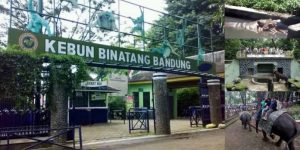 Sempat Tutup Karena Konflik, Bunbin Bandung Kembali Buka