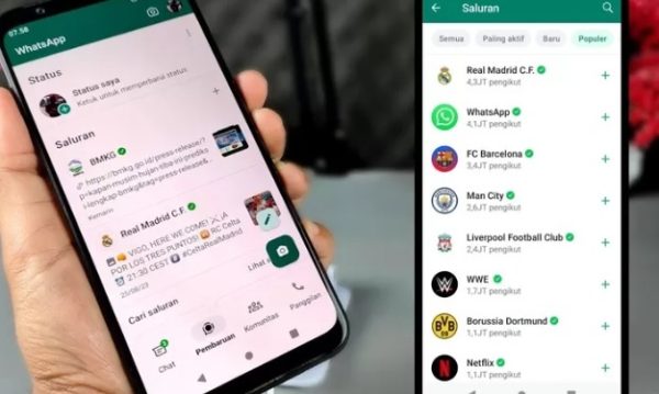 Ini Dia 3 Fitur Baru WA untuk “Telepon Grup”