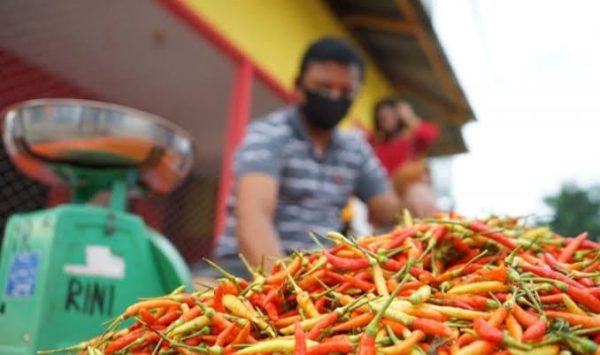 Bapanas RI : Harga Cabai dan Bawang Merah Turun