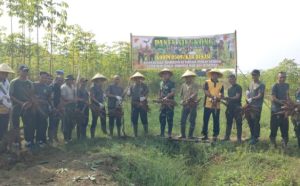 Kodim Bekasi dan Warga Setu Panen Singkong