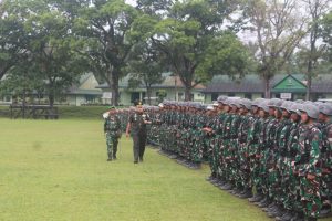 TNI AD Bentuk Batalyon Baru, Butuh 24.000 Prajurit